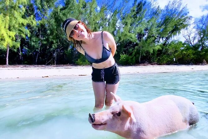 Swim with the Pigs and Explore Caves in Nassau - What You Get Included: Lunch, Snacks, and Beach Setup