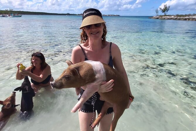 Swim with the Pigs and Explore Caves in Nassau - Safety and Comfort Checklist for a Pig-and-Boat Day