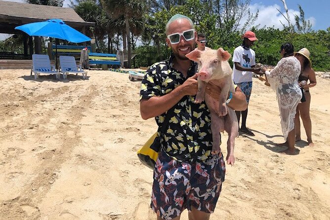 Swim with the Pigs and Explore Caves in Nassau - From Pickup to the Pig Beach: Getting There Without Stress