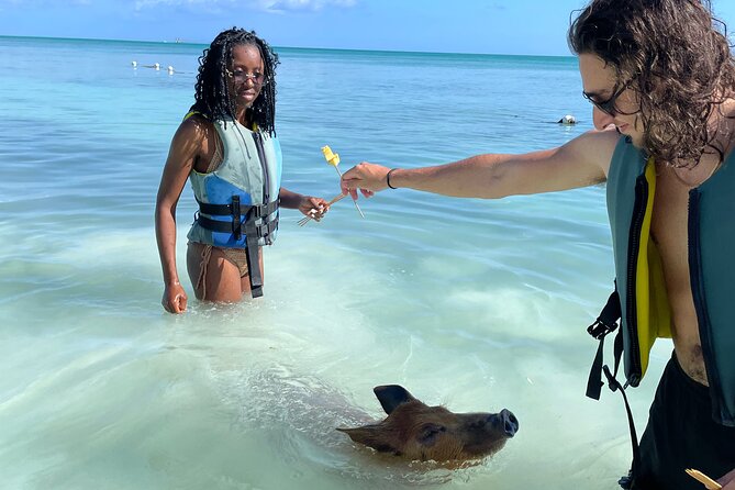 Swim with the Pigs Freeport @Creative Eco Adventures - Value for $71.50: Why This Price Can Make Sense