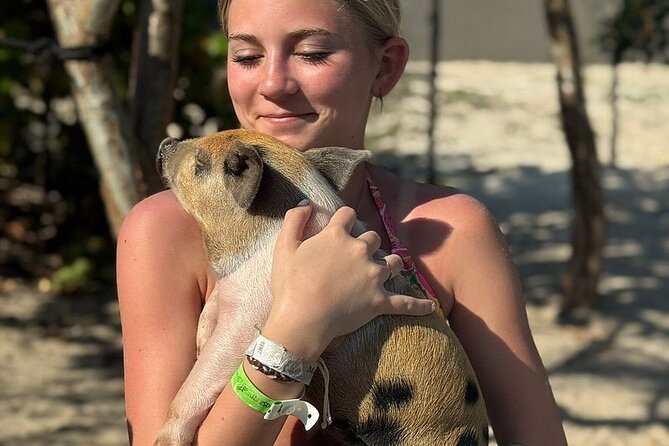 Swim with the Pigs Freeport @Creative Eco Adventures - Where You Start and How Easy It Is to Get There