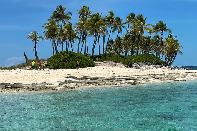 Swim with the Pigs Safari in Bahamas (2hrs) - The 2-Hour Route That Fits Nassau Plans