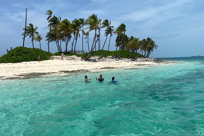 Swim with the Pigs Safari in Bahamas (2hrs) - Pig Island at Atholl: Swimming With Pigs, Feeding Included