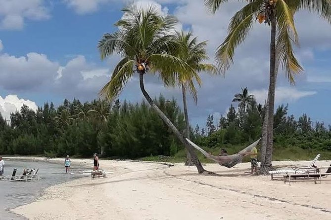 Swim with the Pigs / West End Experience - Swim with the Pigs at Crystal Beach, West End