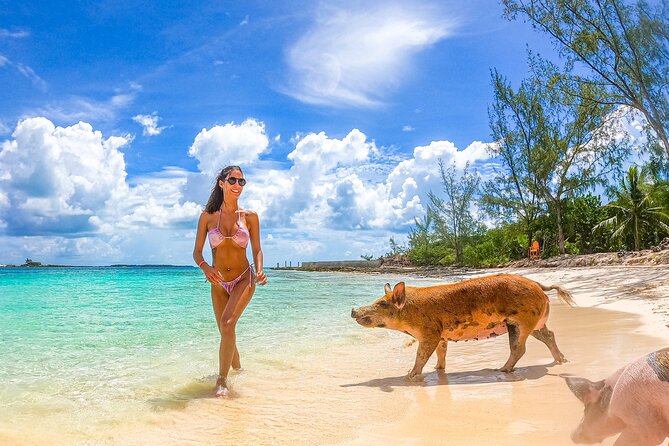 Swimming Pigs and Pearl Island Beach Escape - What the 5-hour schedule really feels like