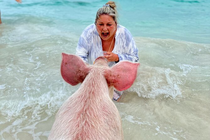 Swimming Pigs and Private Beach Club Escape - Who This Tour Is Best For (And Who Might Skip It)
