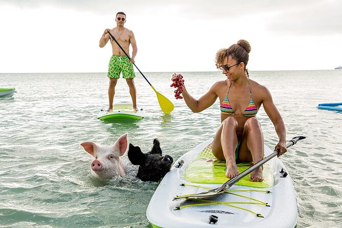 Swimming Pigs & ATV Tour - Key points to know before you go