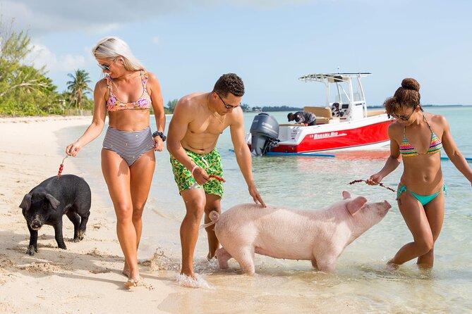 Swimming Pigs & ATV Tour - Stop 2: Adelaide Village, a historic settlement and a beach you can shape