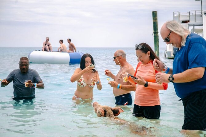 Swimming Pigs Of Rose Island & Beach Day - Group Tour - Rose Island on arrival: pigs, beach toys, and a place to actually rest