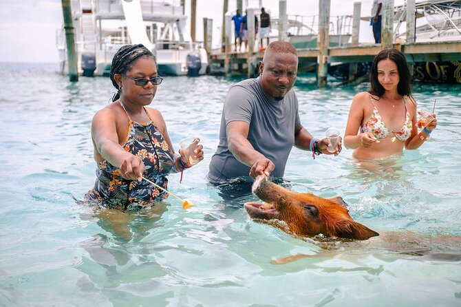 Swimming Pigs Of Rose Island & Beach Day - Group Tour - The 30-minute boat ride to Rose Island: the best part you don’t control