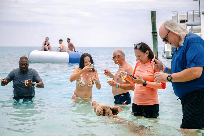 Swimming Pigs Of Rose Island Water Taxi Nassau Bahamas - Price and Value: Why $69 Works When Nassau Excursions Get Expensive