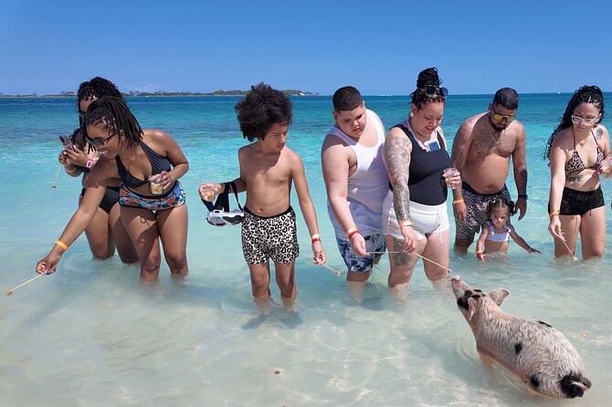Swimming Pigs, Snorkeling and Beach Tour in Nassau Bahamas - Onboard Comfort on a 42-Foot Speedboat, Plus Snacks and WiFi