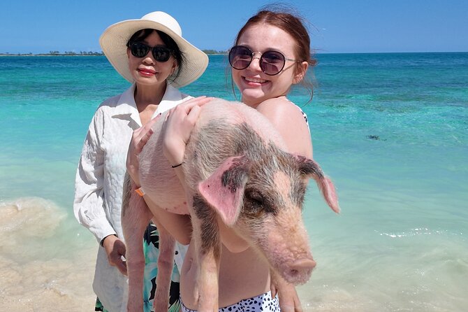 Swimming Pigs, Snorkeling and Beach Tour in Nassau Bahamas - Who Should Book This Nassau Tour, and Who Might Skip It