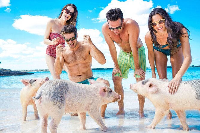 Swimming Pigs, Turtles & Reef Snorkel in Nassau-Champion Tours - Quick reasons this Nassau tour works so well