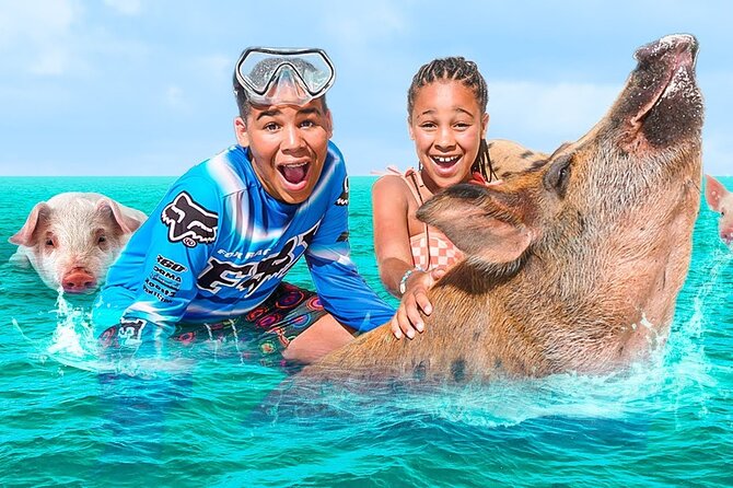 Swimming Pigs, Turtles & Reef Snorkel in Nassau-Champion Tours - A speedboat half-day in Nassau that feels like a real plan