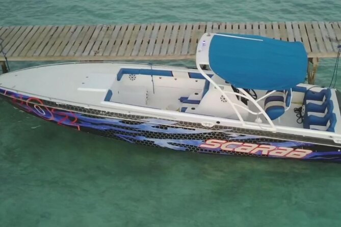 Swimming Pigs, Turtles & Reef Snorkel in Nassau-Champion Tours - Safety and comfort on board: the practical parts you’ll feel