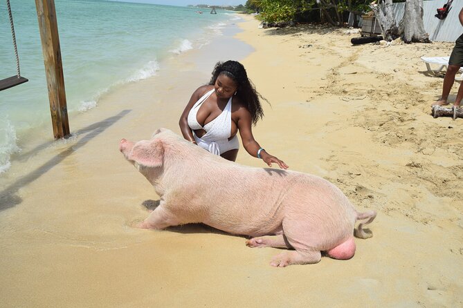 Swimming with Pigs in Nassau, Transportation Included - Getting to Fort Montagu: the trip starts before the water