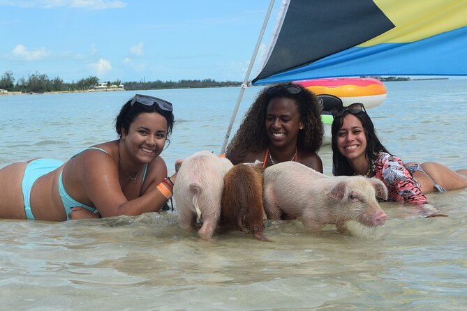 Swimming with Pigs in Nassau, Transportation Included - Karaoke, bus energy, and the little comfort touches that matter