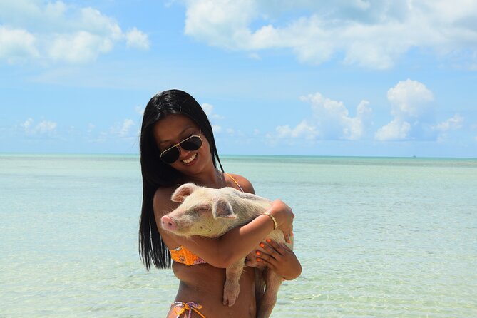 Swimming with Pigs in Nassau, Transportation Included - Logistics and timing: what to watch so your day runs smooth