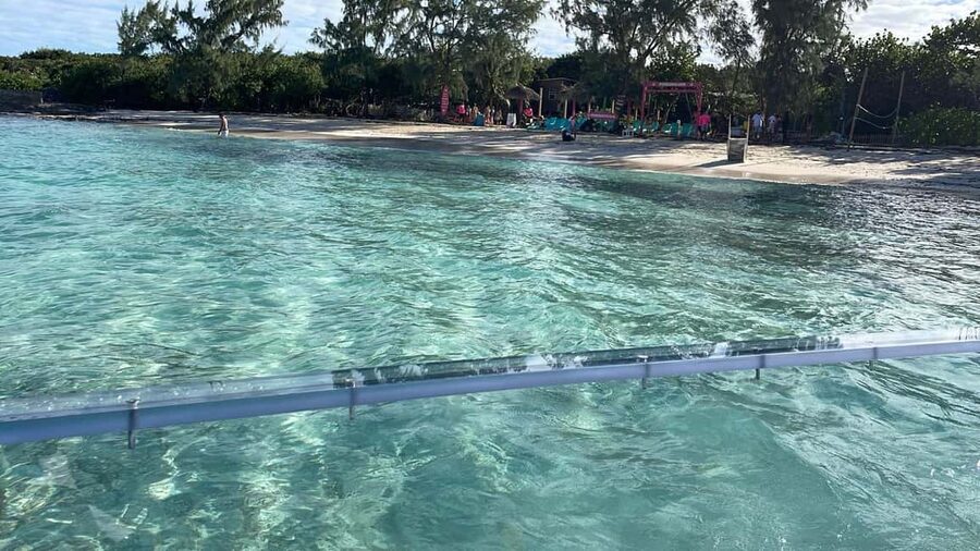The Clear Boat Experience Bahamas drinks and snacks included - Sea Garden Stop: Seeing fish and salt life without getting wet