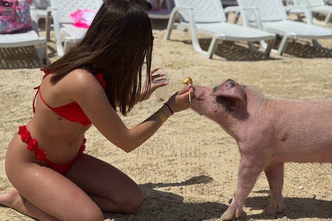 The Ultimate Bahamian Beach Day: Pigs, Jet Ski, Snorkeling & More - Snorkeling gear included, how to make reef time actually work