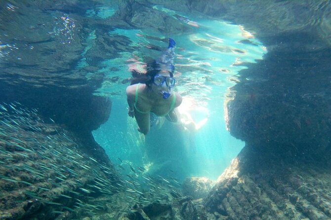 Top 4 Snorkeling Adventures in Bimini - Small Group Size and the Guide Factor