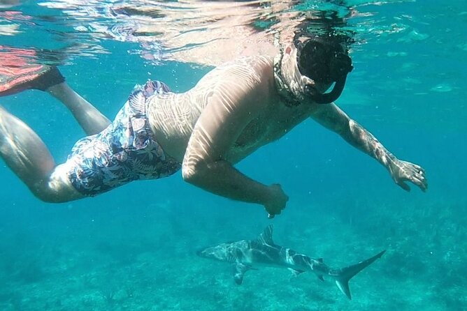 Top 4 Snorkeling Adventures in Bimini - Pace and Itinerary Reality: How Not to Miss Stops