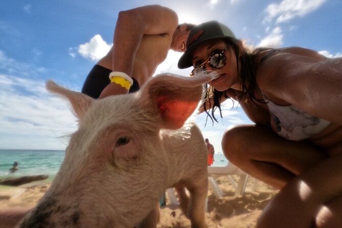 Ultimate SeaXscape Pigs/Turtles/Snorkel/Lunch/Drinks/PU/DO - Why swimming pigs, turtles, and reef time actually make sense