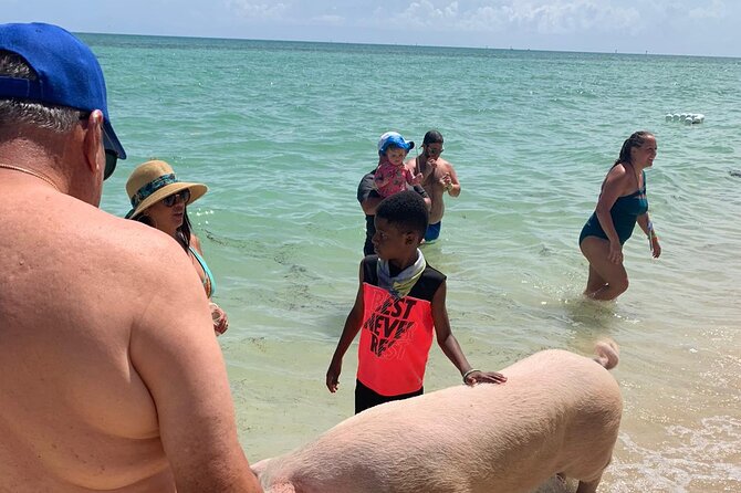 Ultimate SeaXscape Pigs/Turtles/Snorkel/Lunch/Drinks/PU/DO - Conch show and lunch: the flavor stop you’ll actually remember